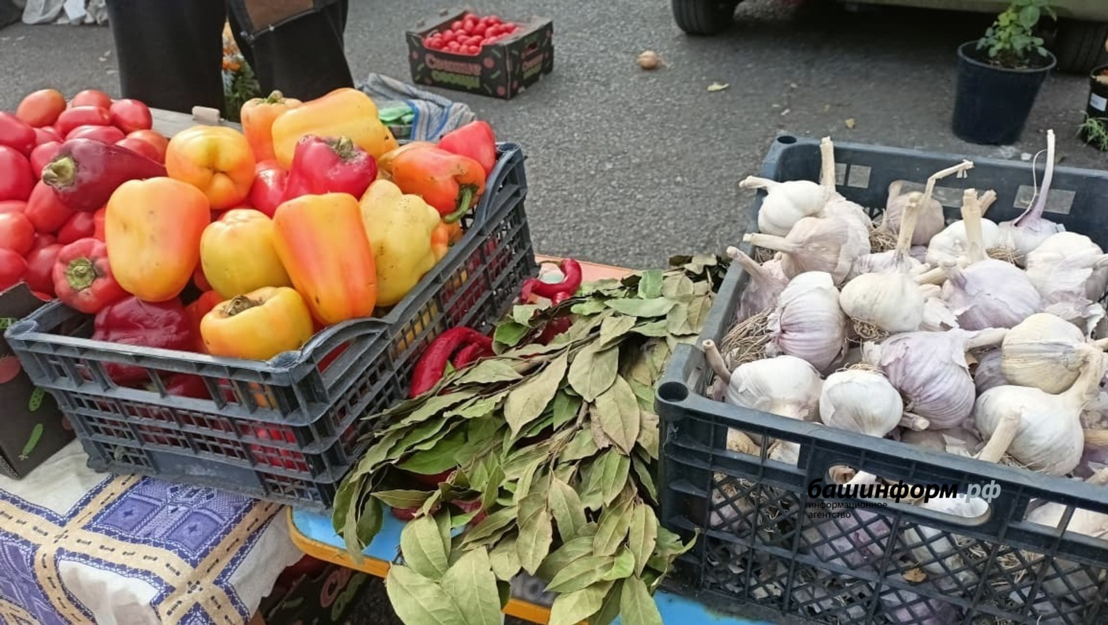 В Башкирии все подорожало: и продукты и бензин