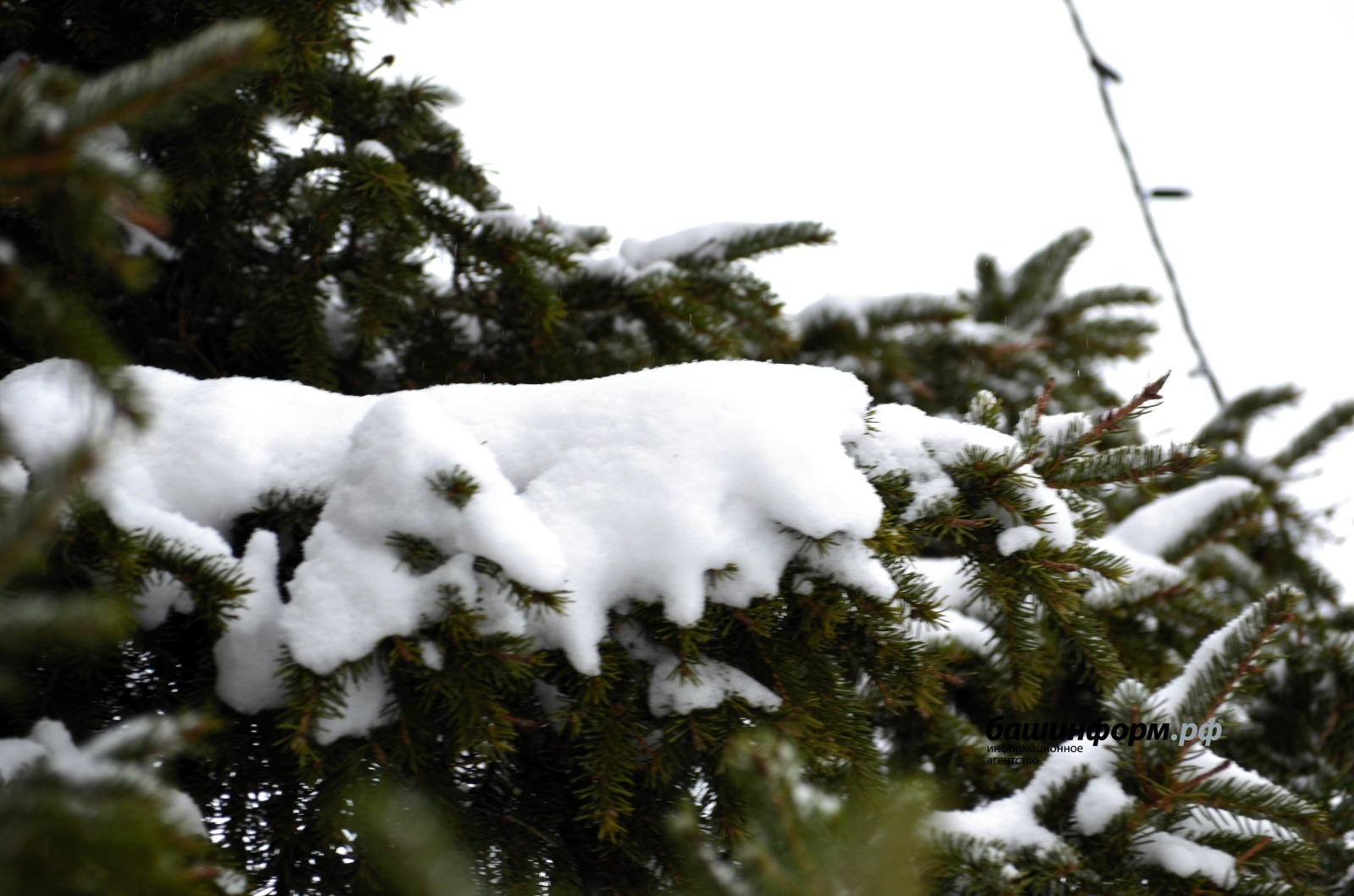 Погода в Башкирии: мокрый снег, ветер и гололёд