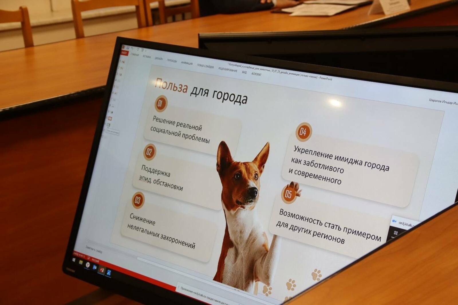 Настоящее кладбище домашних животных может появиться в столице Башкирии