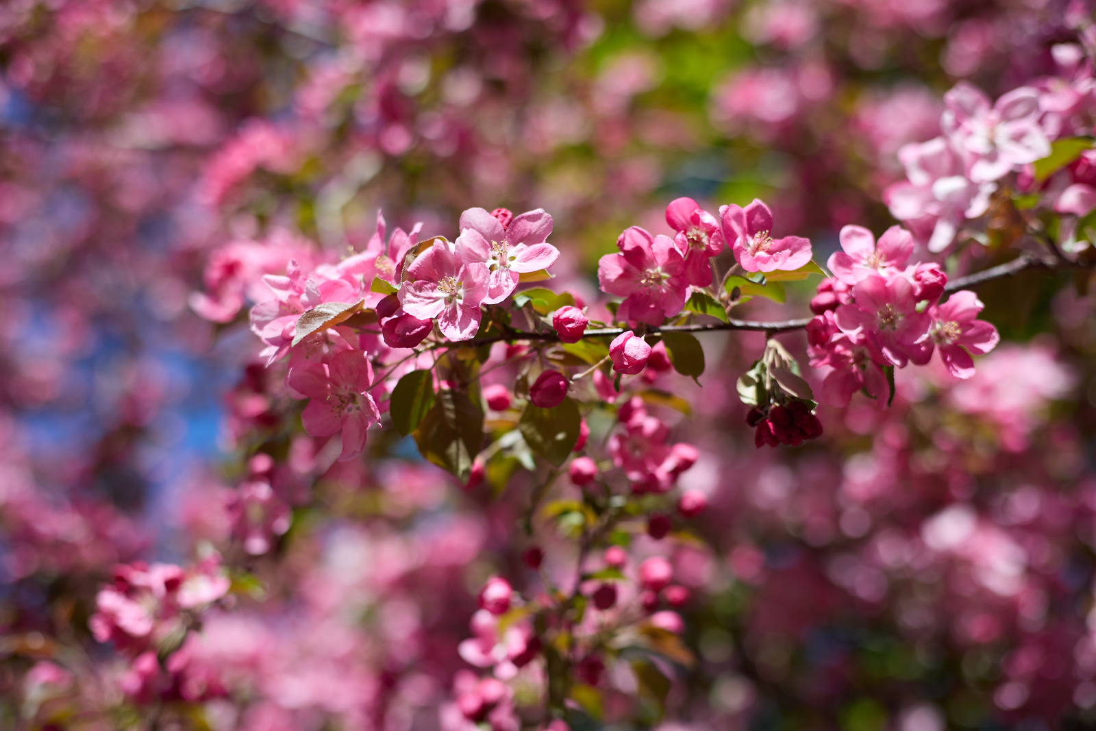 Жара бьёт рекорды: Башкирия переживает климатический сбой