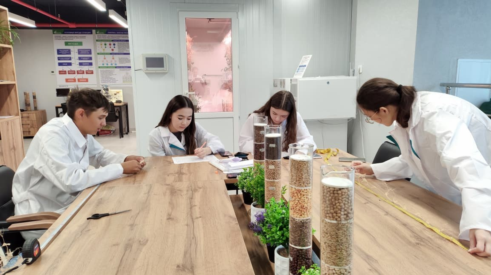 В Межвузовском кампусе Уфы успешно завершили эксперимент по гибридизации гороха