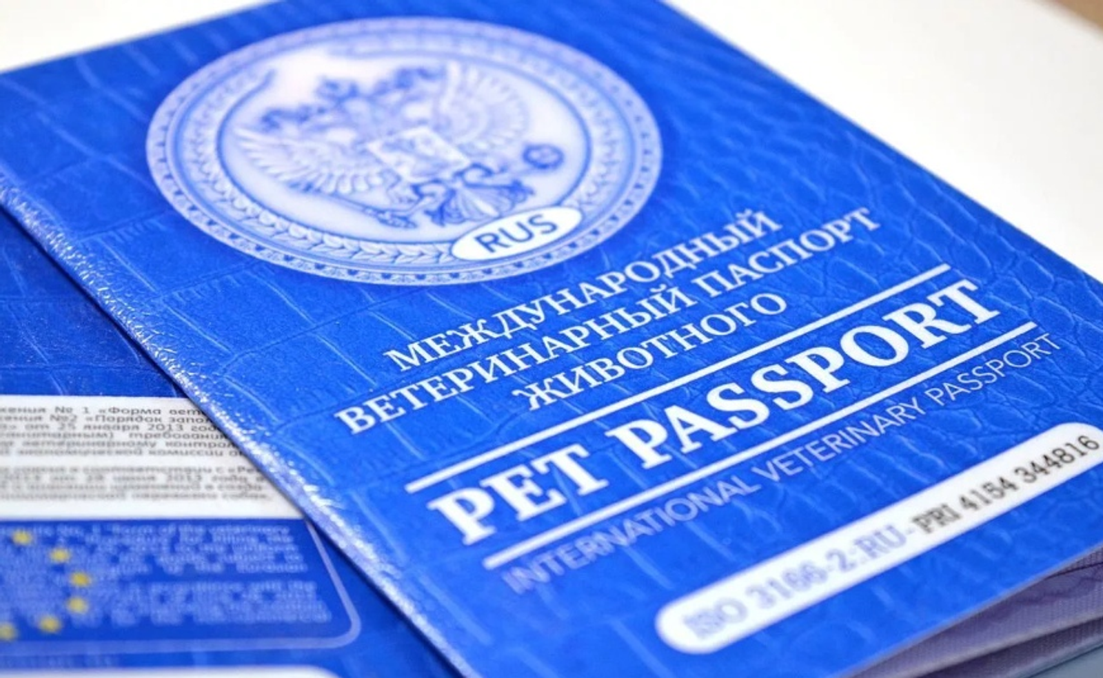 В Башкирии собака получила российское гражданство