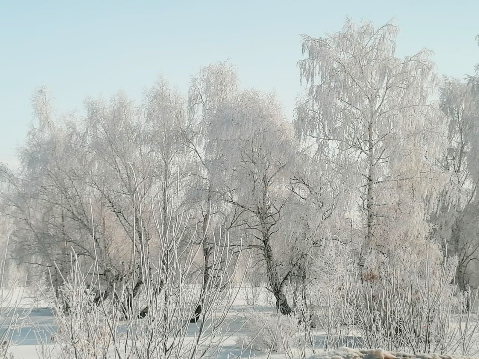 Не по-зимнему тепло: как долго Башкирия проживёт в плюсе?