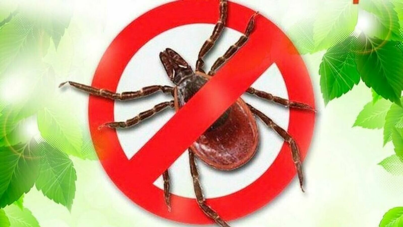 Более семи тысяч жителей Башкирии подверглись опасности