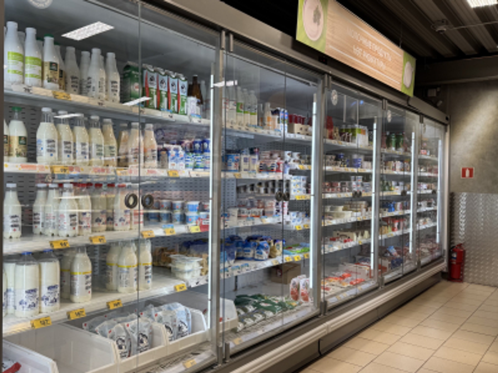 Продукты, богатые кальцием: альтернативы молоку в Башкирии