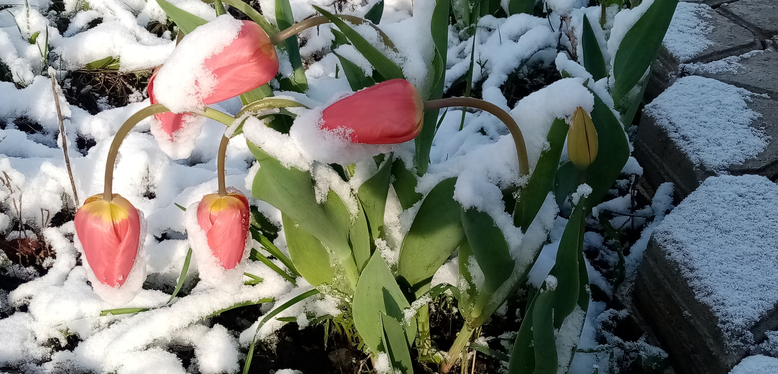 Аномальный снег и заморозки: в Башкирии резко испортится погода