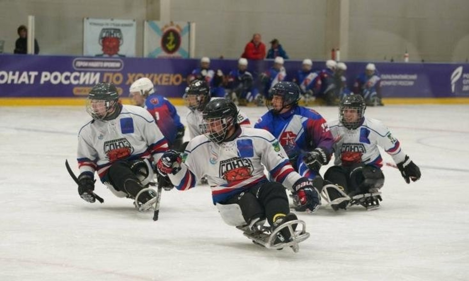 Ветераны СВО из Башкирии  выступят в адаптивных видах спорта