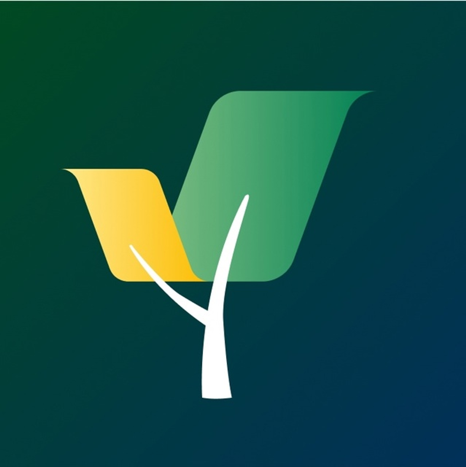 Восемь инициатив из Башкирии вошли в финал федерального конкурса