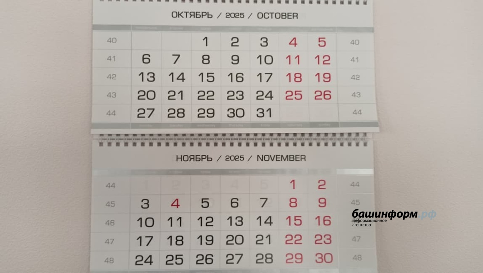 Стало известно, как будем отдыхать и работать в октябре и ноябре