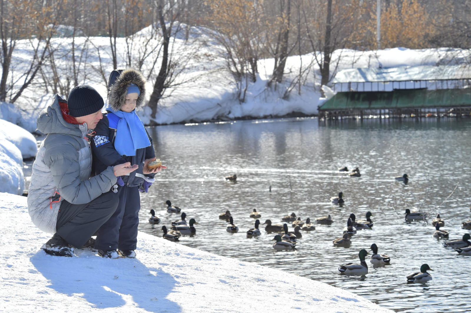 Синоптики назвали дату устойчивого потепления в Башкирии