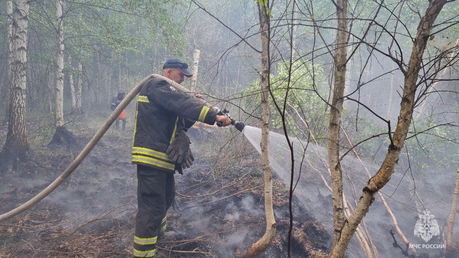 В Казахстане бушуют масштабные лесные пожары