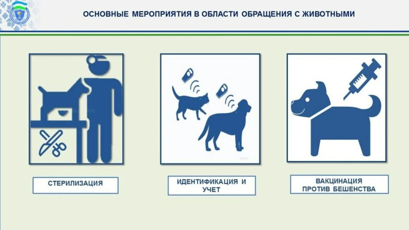 Вопросы бешенства и бездомных животных обсудили в Кумертау