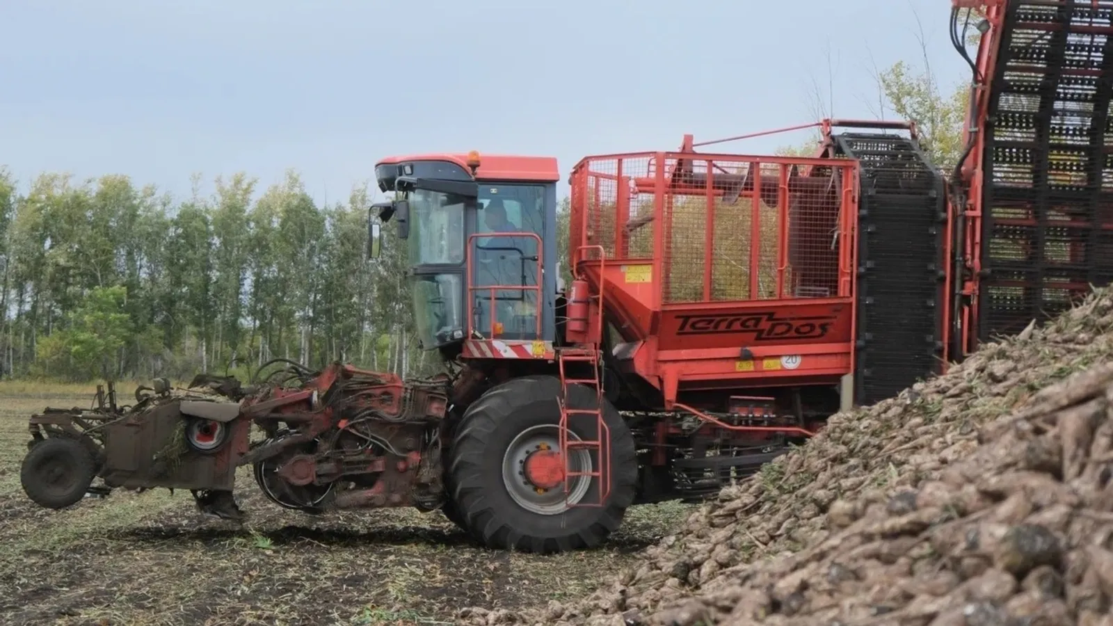 В Башкортостане стартовала уборка сахарной свеклы и продолжается уборка зерновых