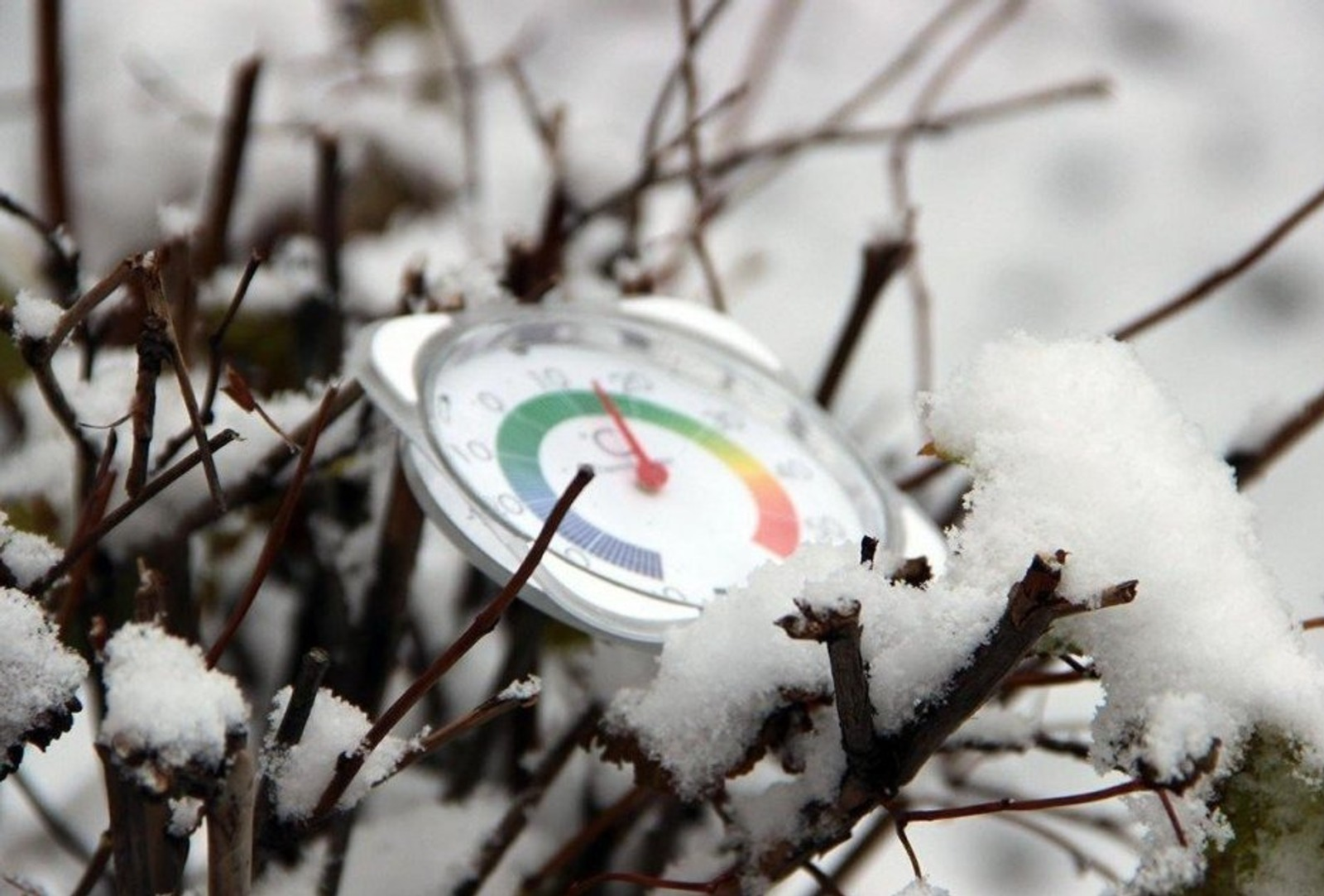 Когда в Башкирии отменяются уроки в школах