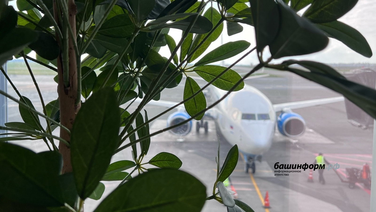 «Аэрофлот» отменил около 50 рейсов из-за сбоя в информационных системах