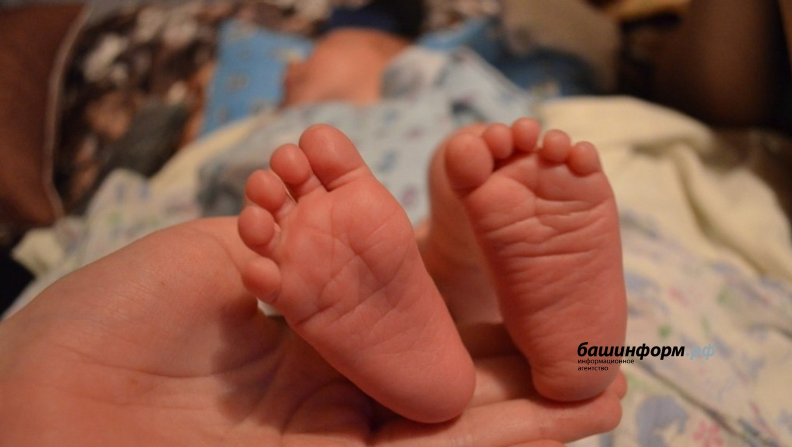 В Башкортостане появились на свет Шанэль и Тимран