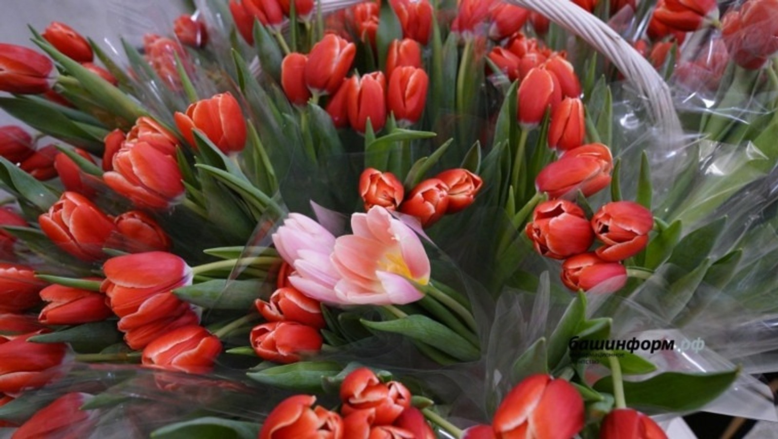 Пятница перед 8 марта не будет сокращённой