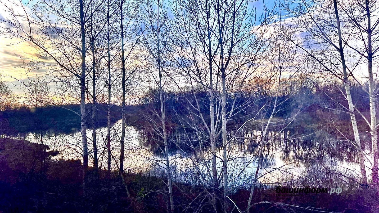 Тревожное происшествие в Башкирии: женщина потерялась в лесу