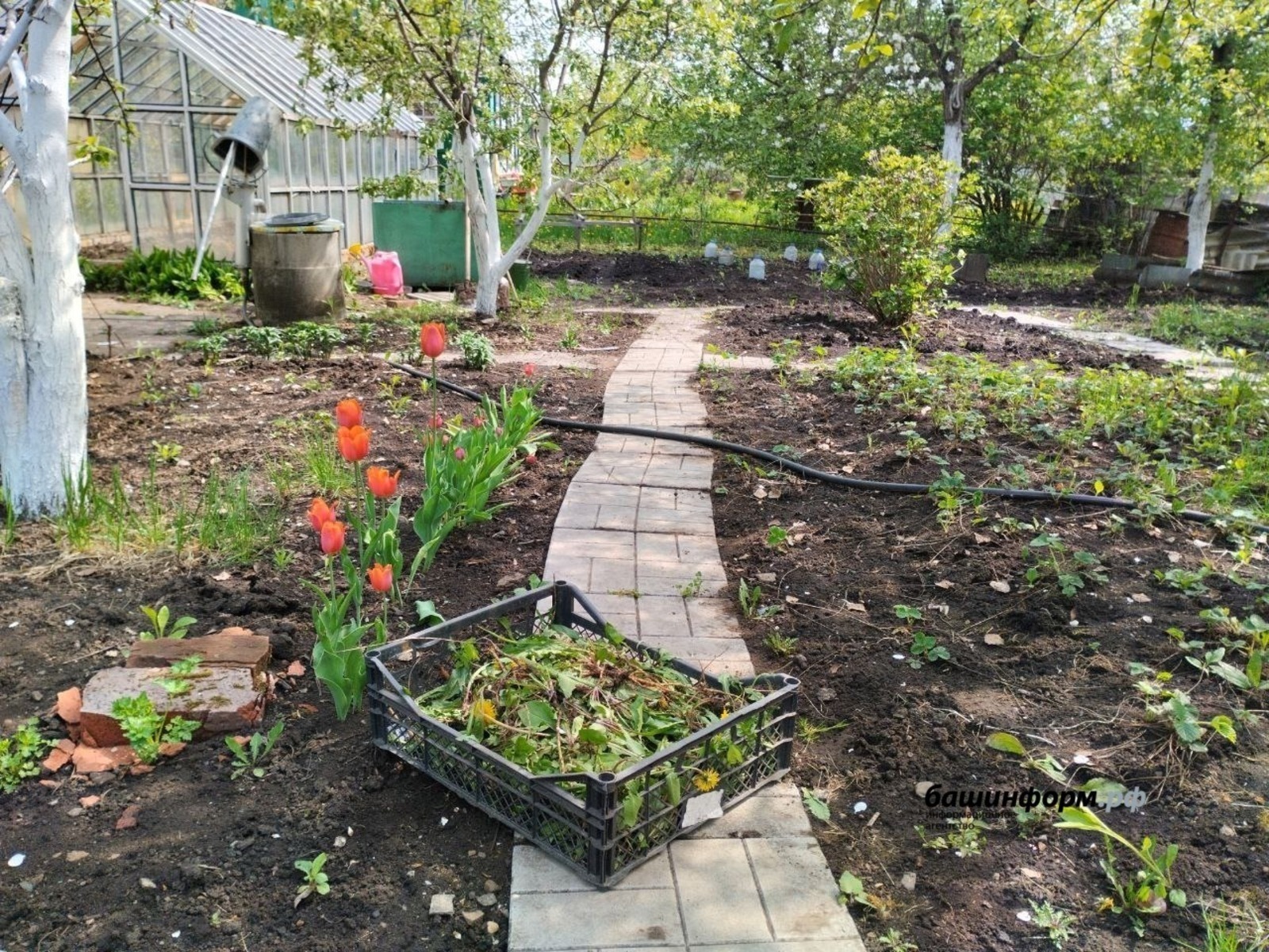 Газификация садов в Башкирии: когда, где и сколько