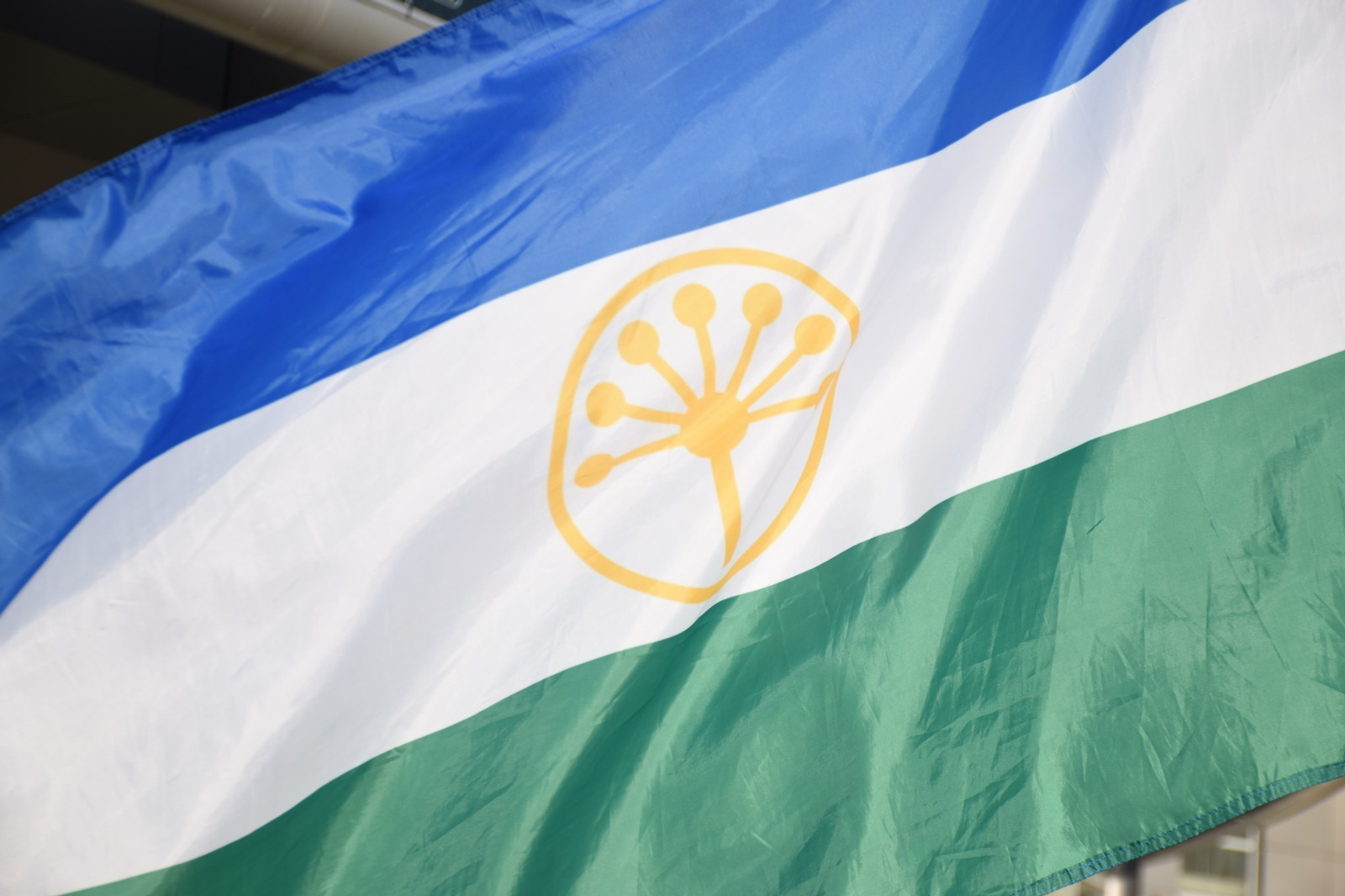 В Башкирии Башкирии приняли закон, поддерживающий военных журналистов