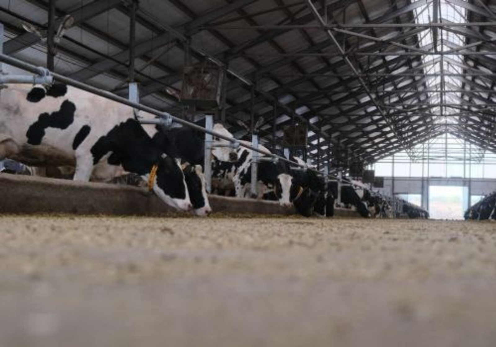 В Башкирии покупатели устроили драку в магазине из-за масла