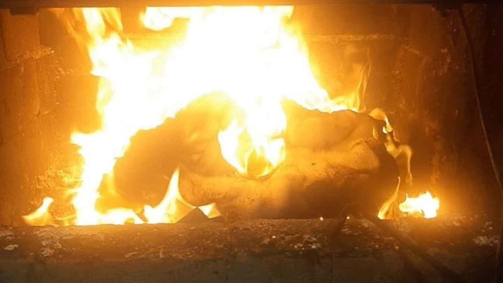 В Башкирии судебные приставы сожгли в печи меховые изделия без маркировки