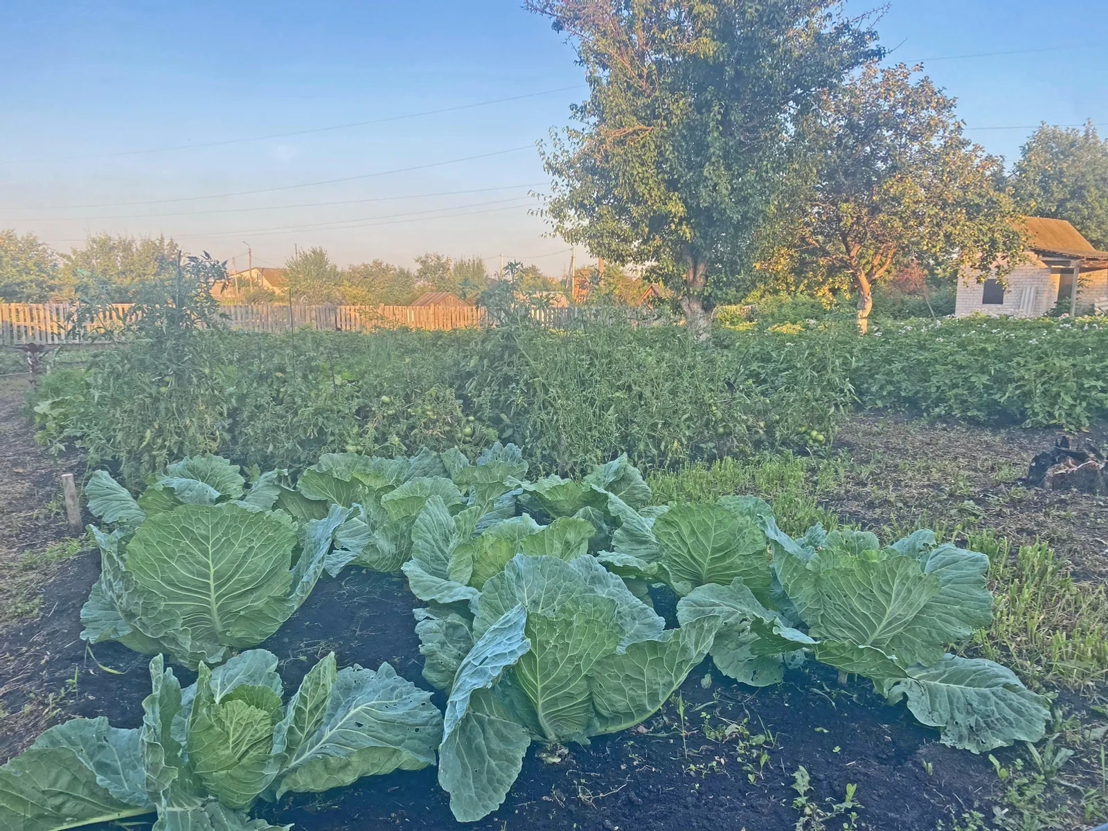Захватом земли богатства не наживёшь