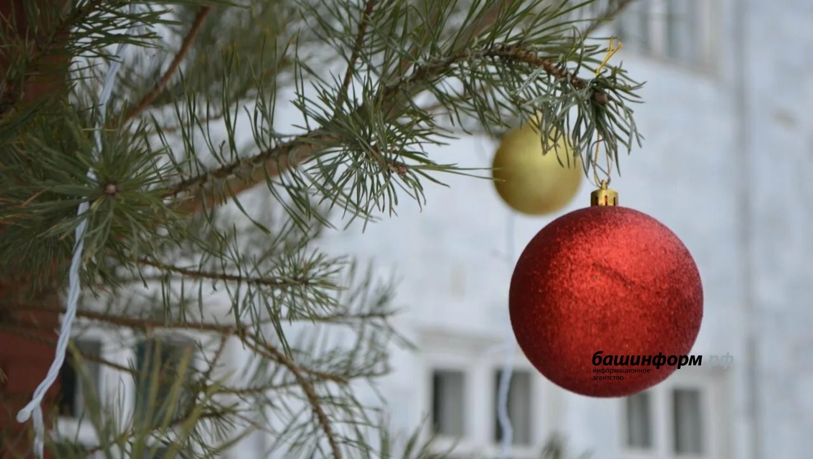 Короче не бывает:январь 2026 года самый короткий «нерабочий» месяц за пять лет