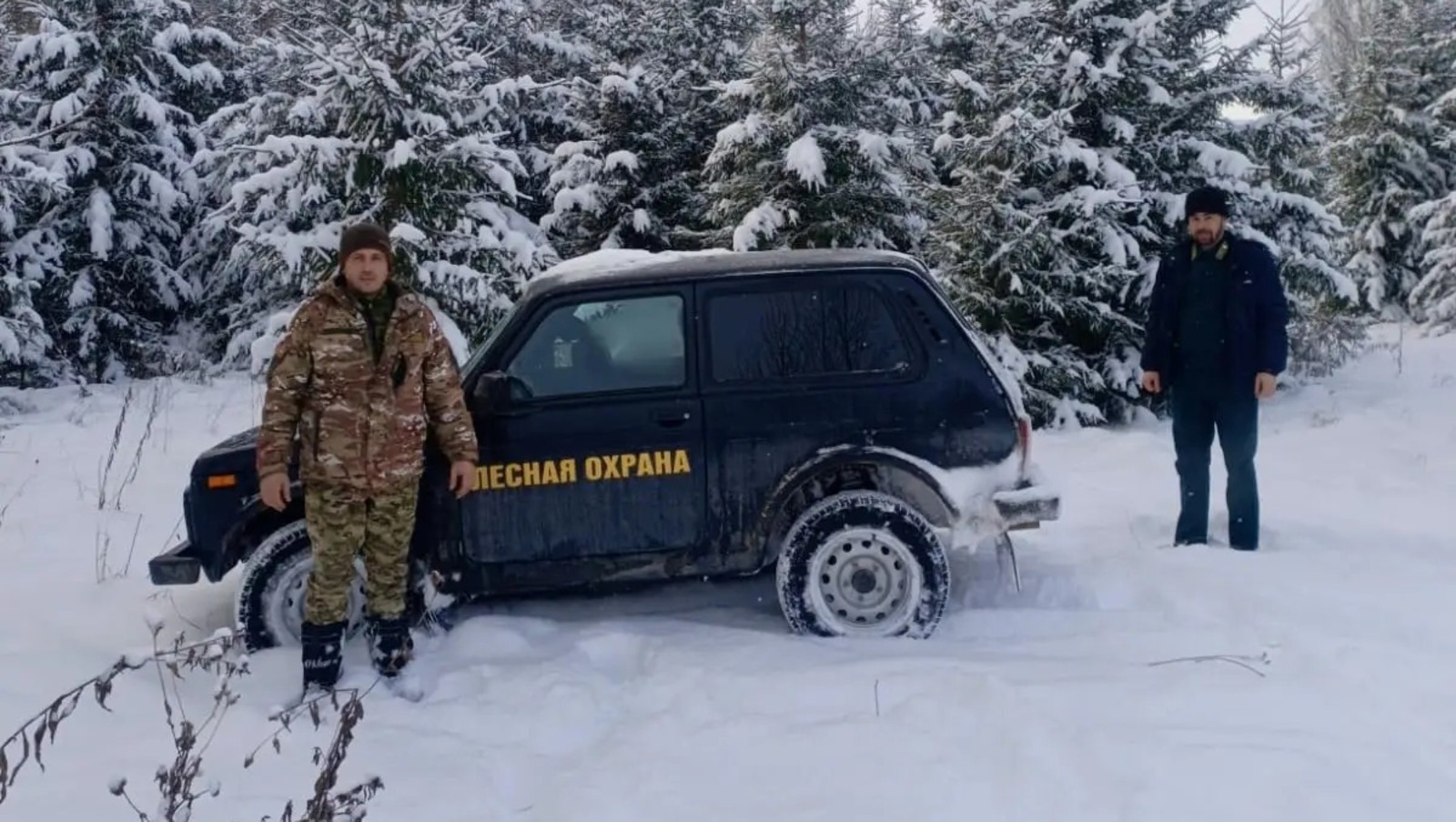 В Башкирии за год выявили сотни нарушений в лесной сфере