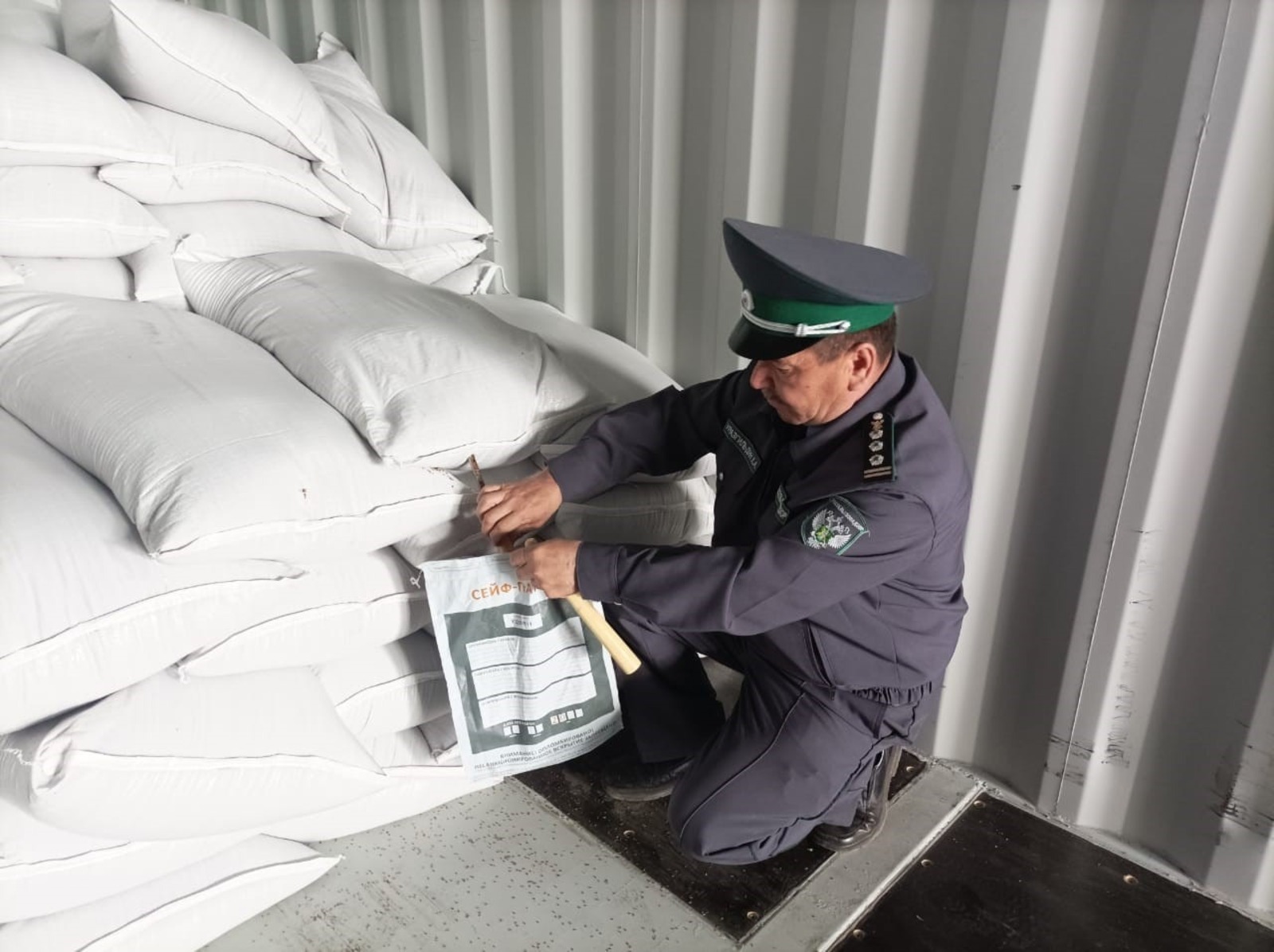 Башкирский горох отправляется в Китай: результаты проверки Россельхознадзора