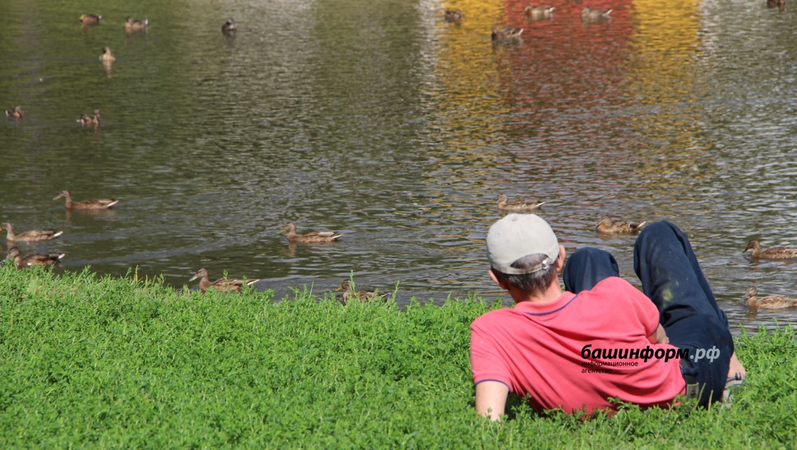 Как сократить рабочий день в Башкирии из-за жары, рассказали в Роспотребнадзоре