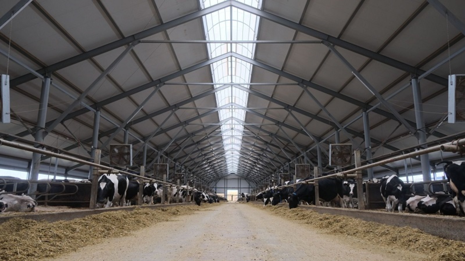 В Башкирии заработают пять технологичных мегаферм