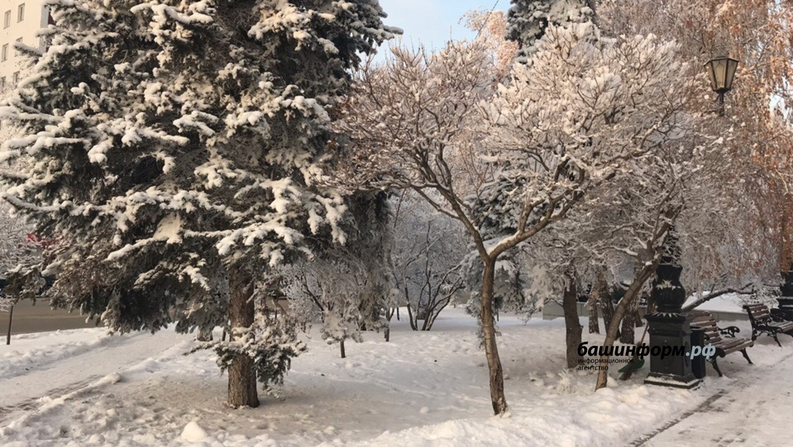 В Башкирию идут морозы. Что делать?