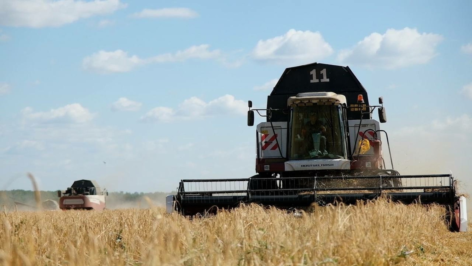 АПК Башкирии продолжает модернизацию: господдержка остаётся главным стимулом