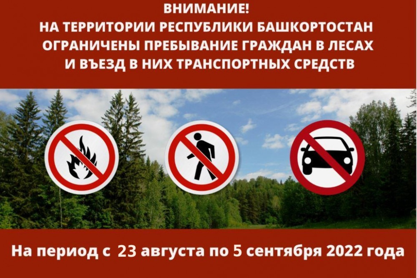Аномальная жара в Башкортостане: введены ограничения на посещение лесов