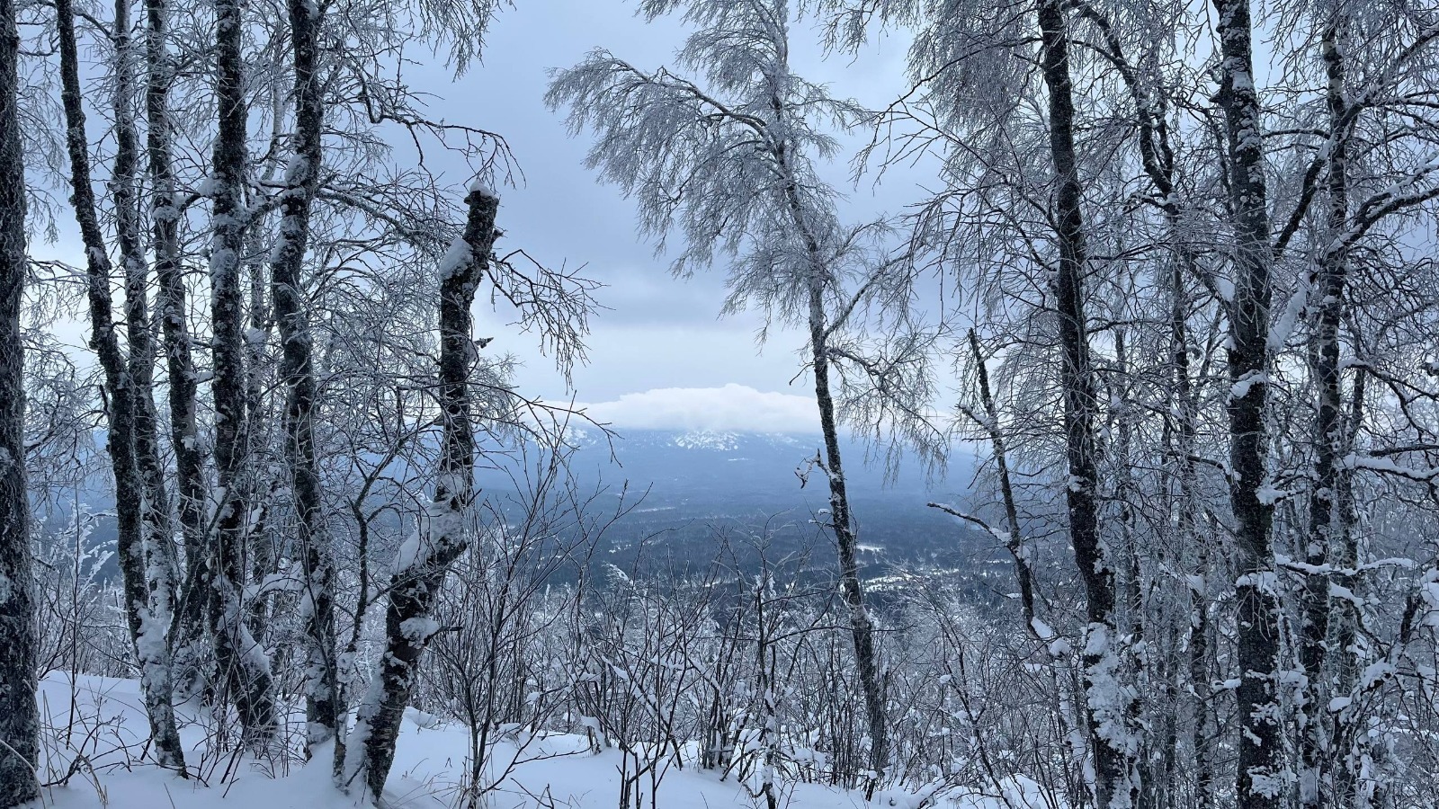 В Башкирии за пять дней января выпала треть нормы снега