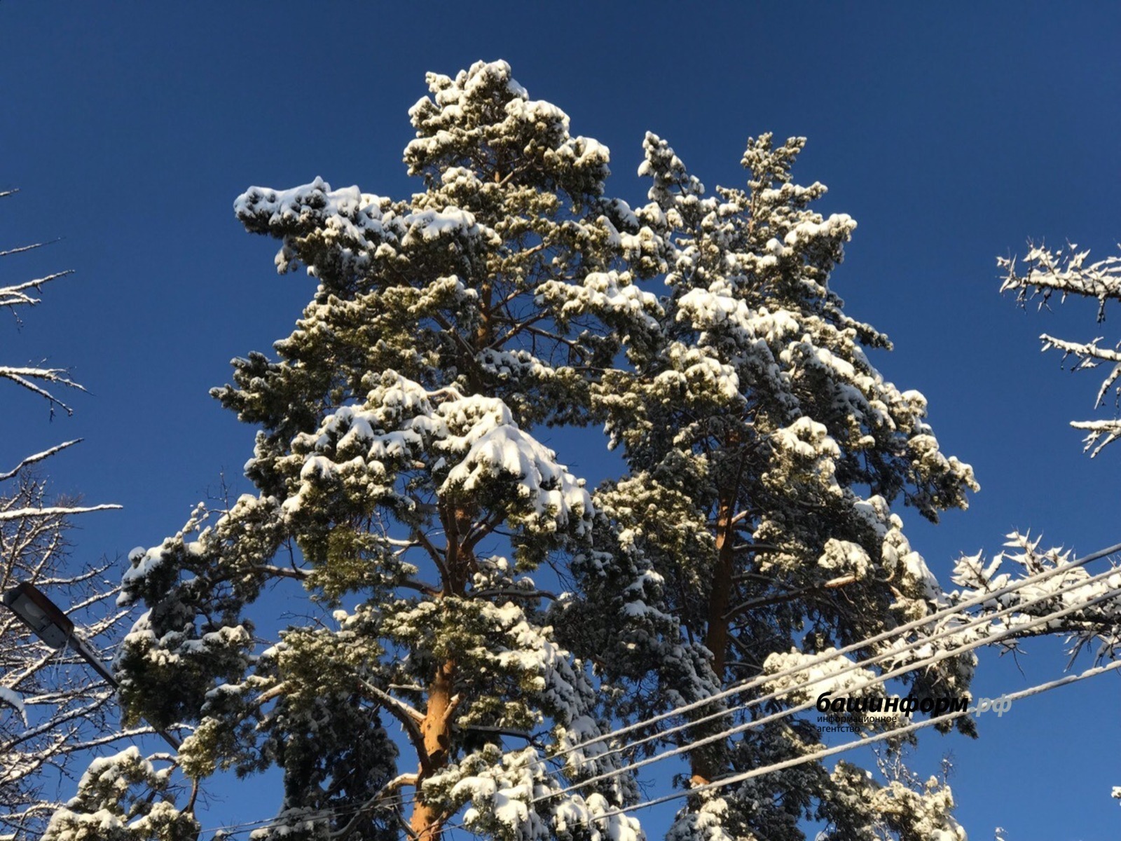Морозы в Башкирии начнут отступать