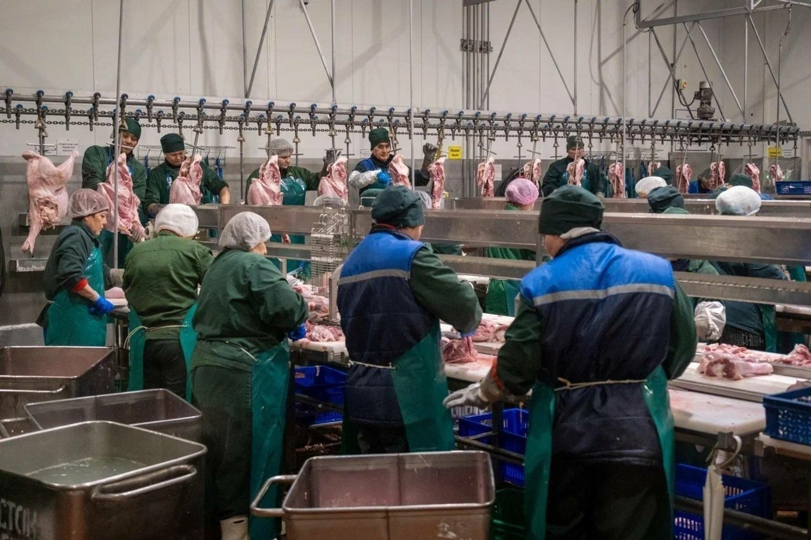 Башкирская индейка покоряет внешние рынки