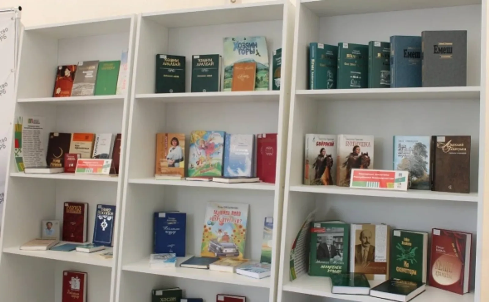 Продажи изданных в Башкирии книг через маркетплейсы выросли в три раза
